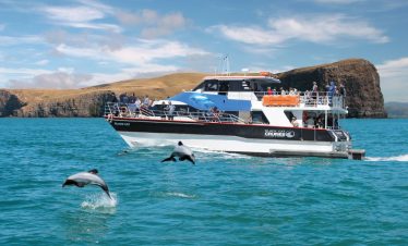 akaroa day tour
