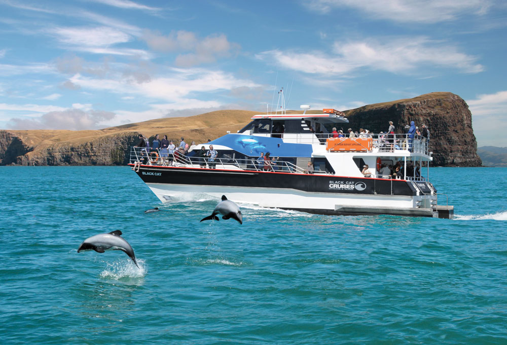 akaroa day tour